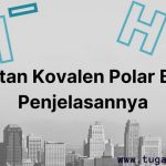 Ciri Ikatan Kovalen Polar Beserta Penjelasannya