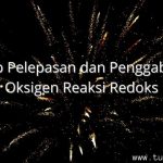www.tugassains.com 28129 001