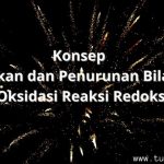 www.tugassains.com 28129