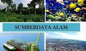 sumber daya alam