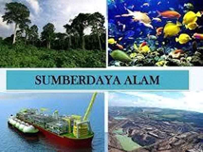 sumber daya alam