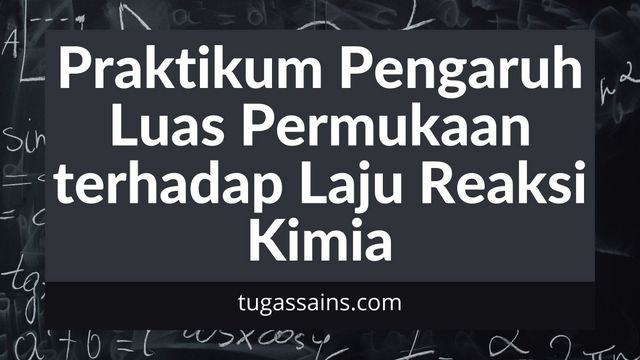 Praktikum Pengaruh Luas Permukaan terhadap Laju Reaksi Kimia