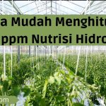 Cara Mudah Menghitung Besar ppm Nutrisi Hidroponik
