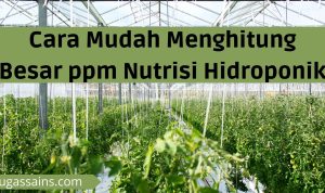 Cara Mudah Menghitung Besar ppm Nutrisi Hidroponik