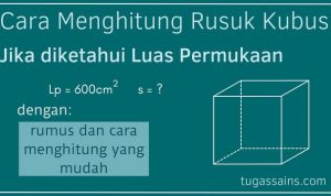 339a4557c127 339a4557c127