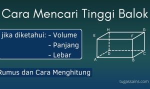c3924f5c5455 c3924f5c5455