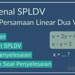 Mengenal Sistem Persamaan Linear Dua Variabel