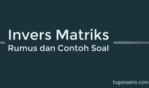 Rumus Invers Matriks dan Contoh Soal