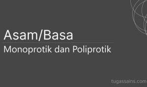 asam basa monoprotik dan poliprotik