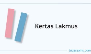 kertas lakmus