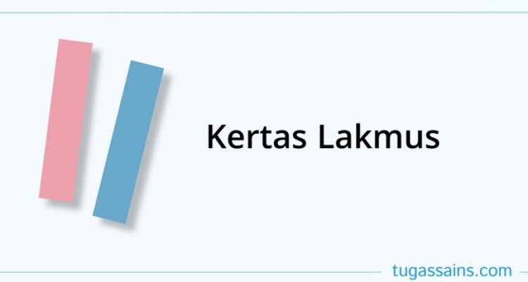 kertas lakmus