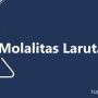 molalitas larutan